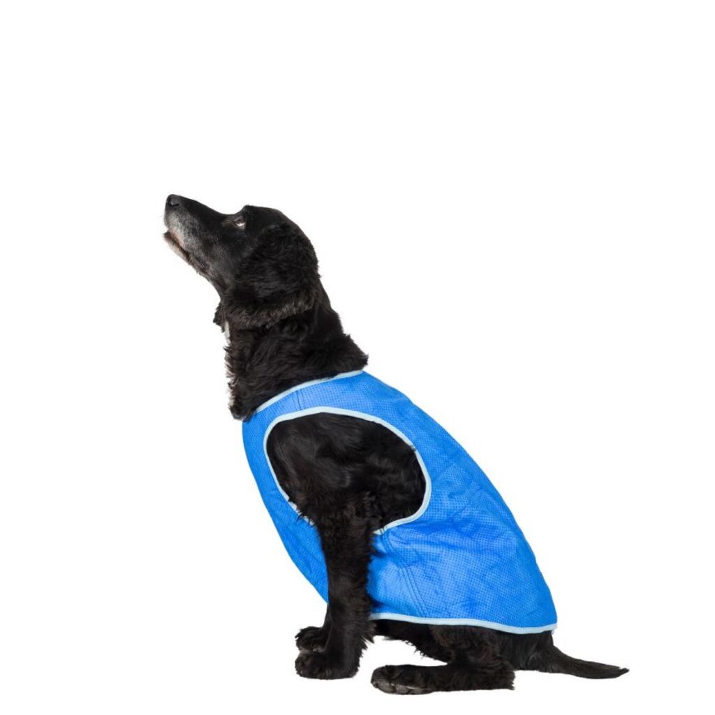Trespass ALASKA - Gilet de refroidissement pour chiens (bleu saphir, S, SAP)