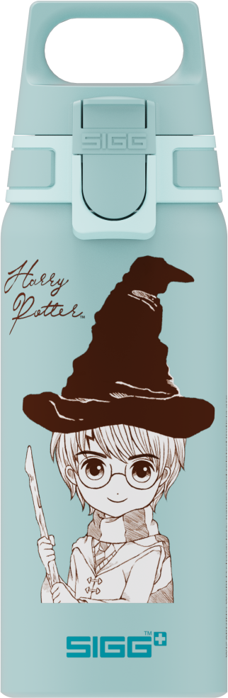 WMB Harry Potter