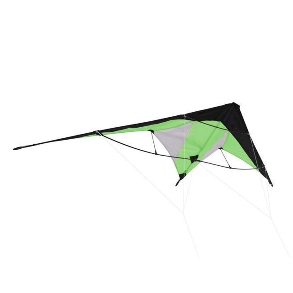 Cerf-volant CHAMP (assorti, 180cm × 70cm)