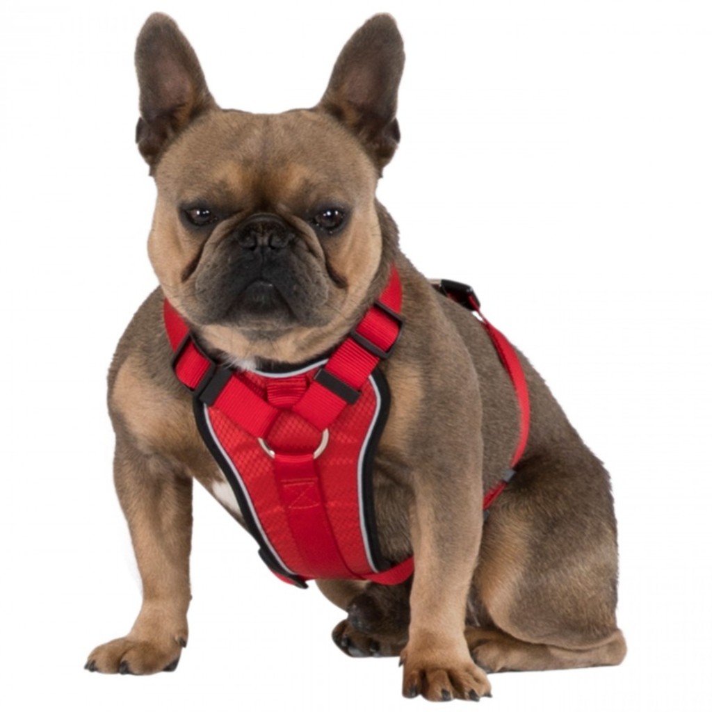 Trespass TRESPAWS TANKED - Pet harness (red (PXR), S/M)