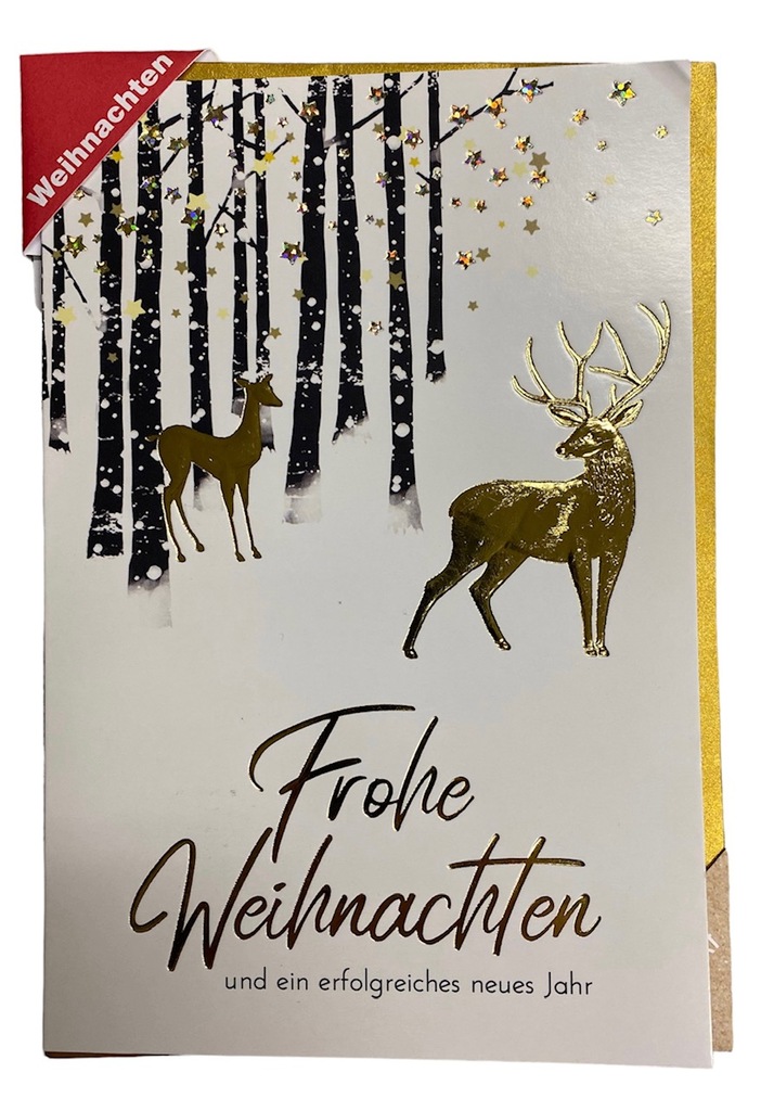 CHAMP Weihnachtskarten (assortiert, 17cm × 11.5cm)