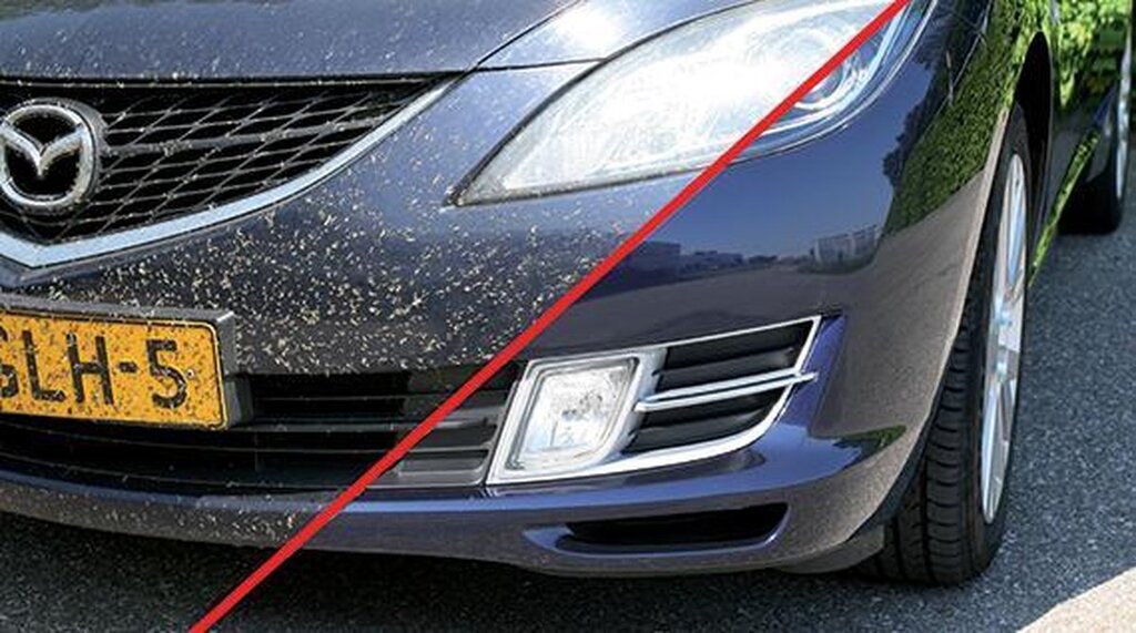 Extreme Clean soin de la voiture désinsectisation (8cm × 5cm × 26cm, 500ml, 0.6kg)