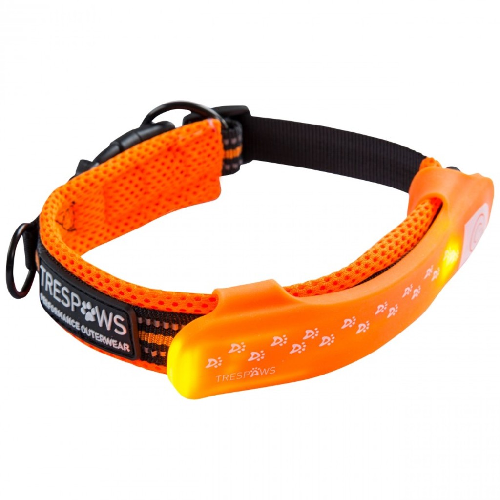 Trespass DISCO DOG dog collar clip (yellow)